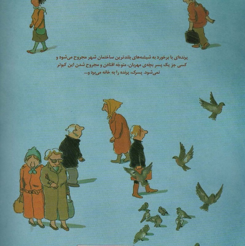 چگونه می توان بال شکسته ای را درمان کرد؟