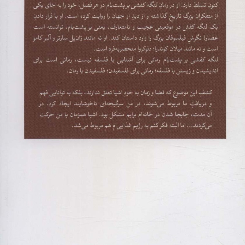 لنگه کفشی بر پشت بام