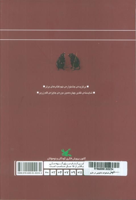 شاهزاده خانومی در مترو