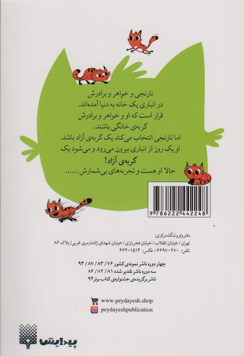 نارنجی گربه ی آزاد 4