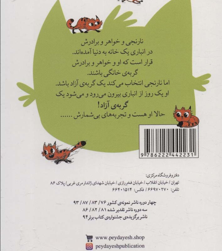 نارنجی گربه ی آزاد 3