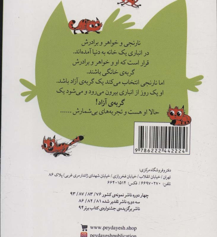 نارنجی گربه ی آزاد 2