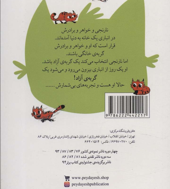 نارنجی گربه ی آزاد 1