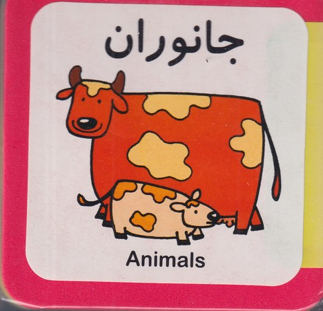 جانوران نشر فرشتگان