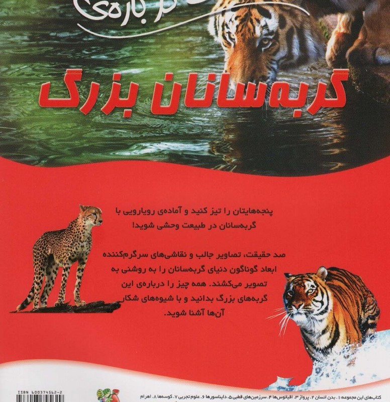 100 حقیقت درباره گربه سانان بزرگ سایه گستر