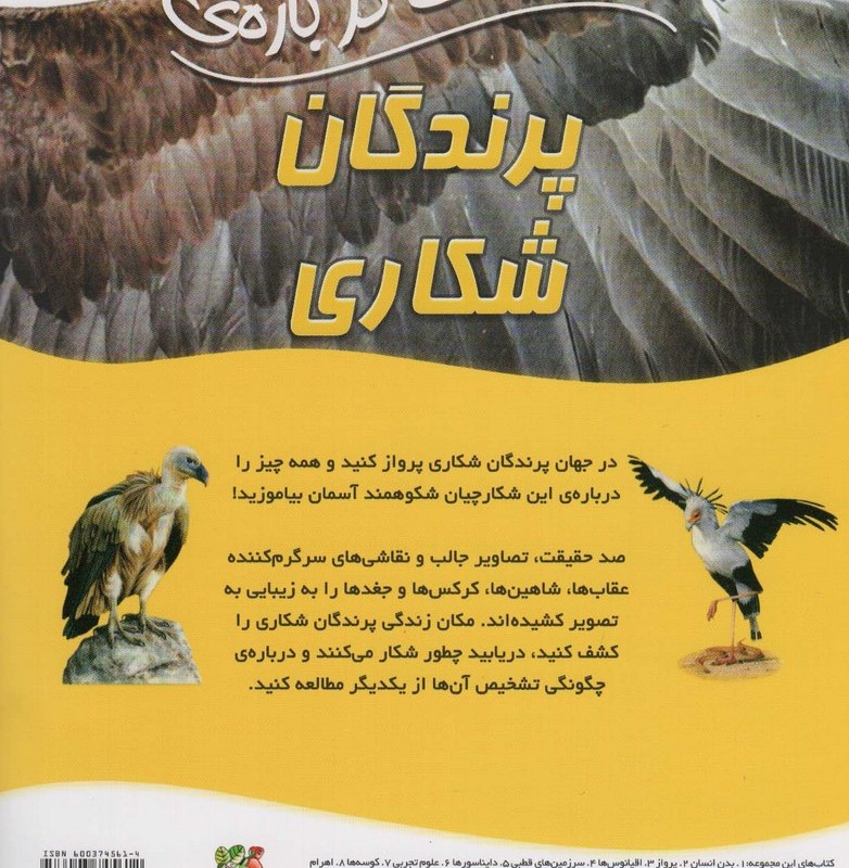 100 حقیقت درباره پرندگان شکاری سایه گستر