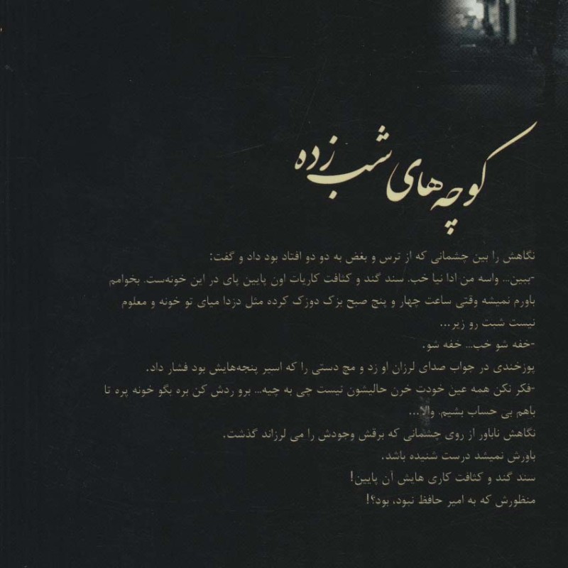 کوچه های شب زده