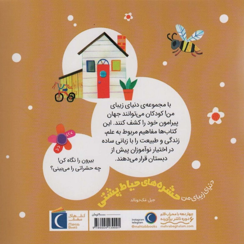حشره های حیاط پشتی