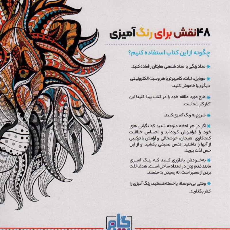 کتاب رنگ آمیزی برای بزگسالان جنگل حیوانات