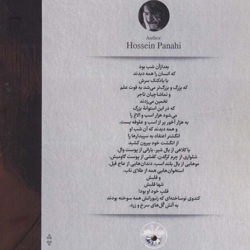 کتاب دل شیر