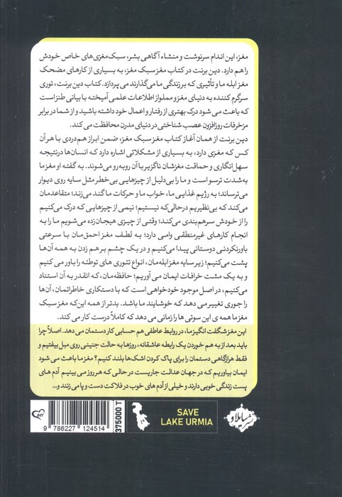 مغز سبک مغز سایلاو