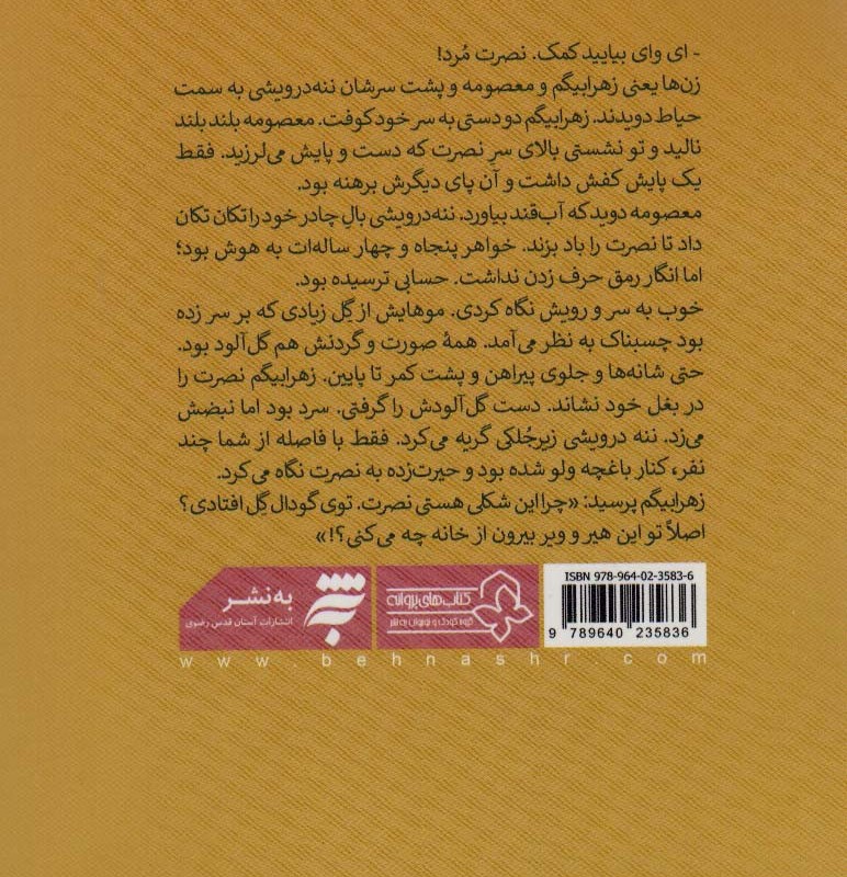 شبحی در پشت بام