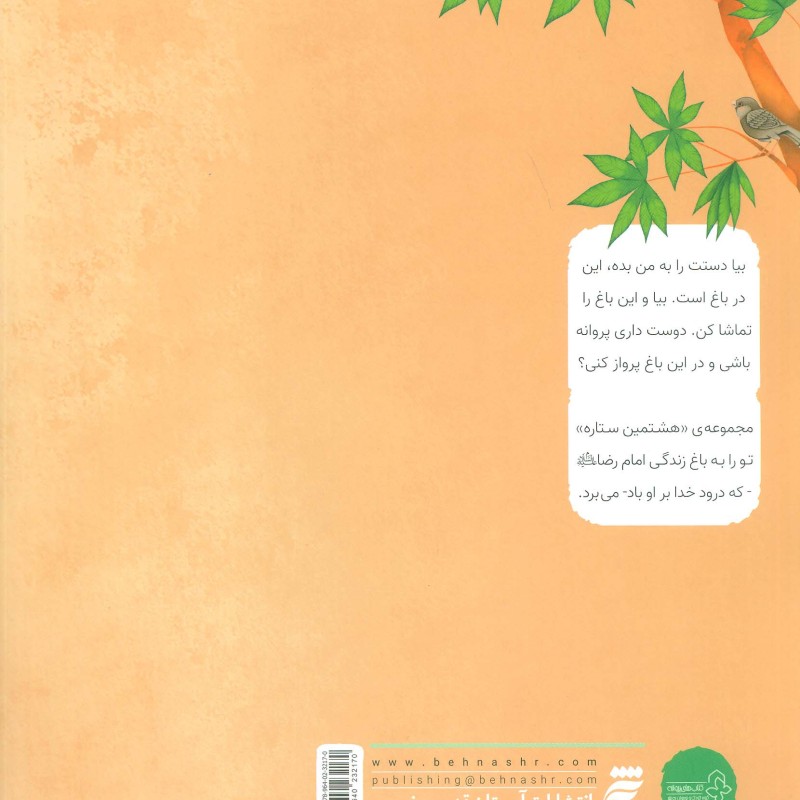 ماه زمین