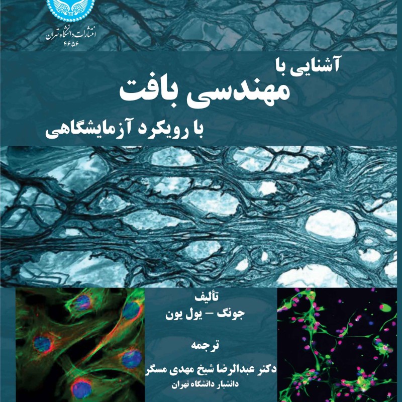 آشنایی با مهندسی بافت