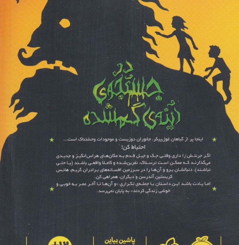 در جستجوی آینه گمشده
