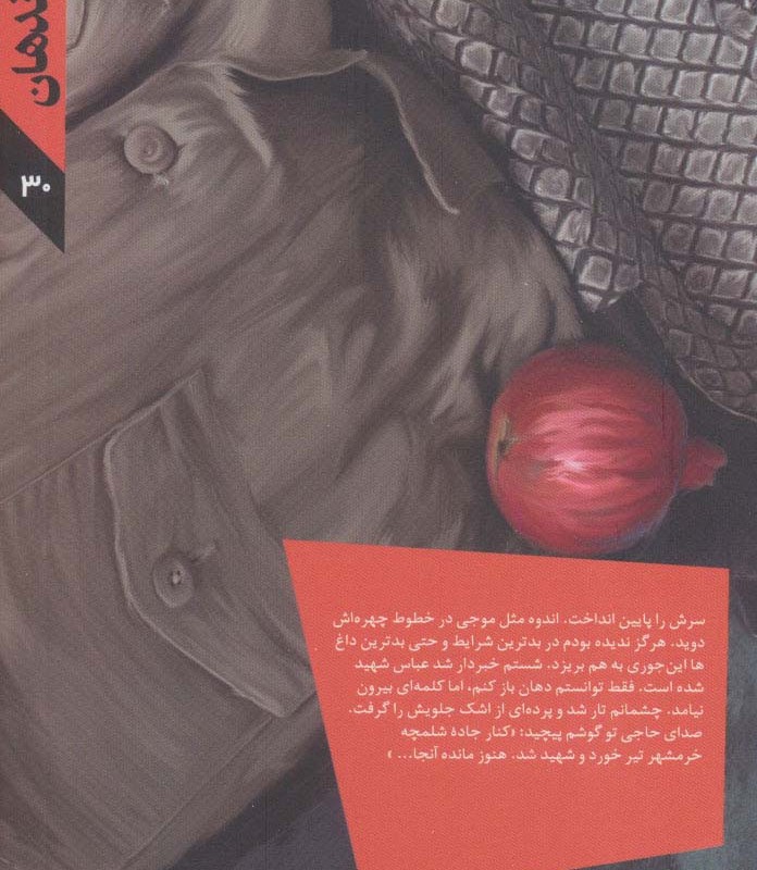 مهمان دجله