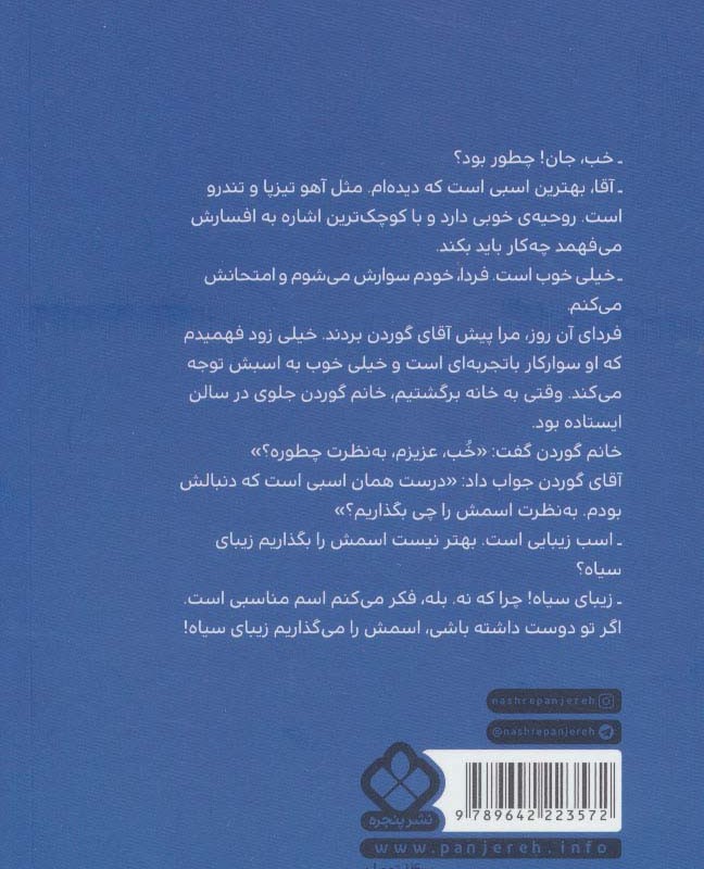 زیبای سیاه نشر پنجره