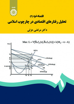 کتاب اقتصاد خرد 3 نشر سمت