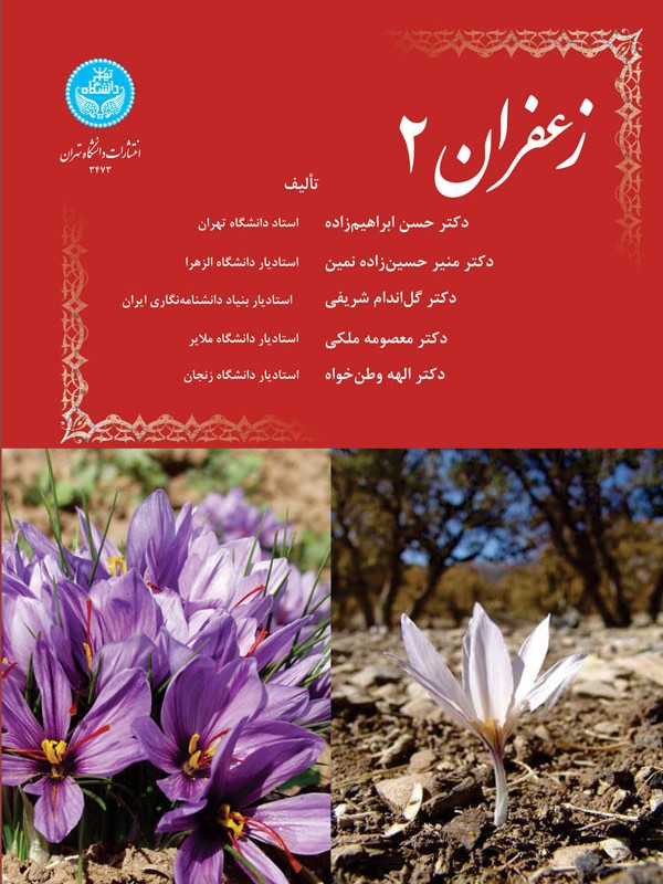 کتاب زعفران جلد دوم