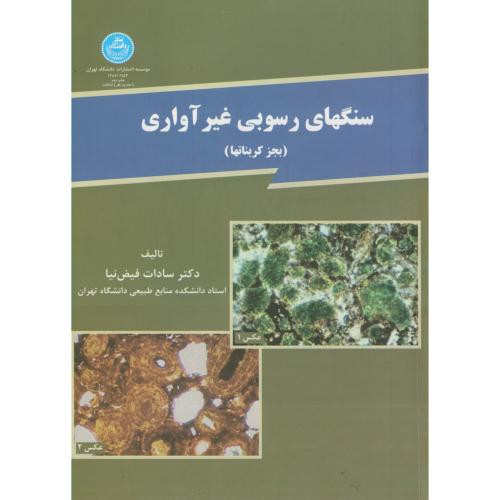 سنگ های رسوبی غیر آواری