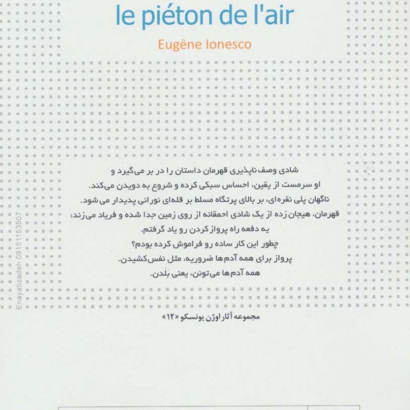 پیاده در هوا