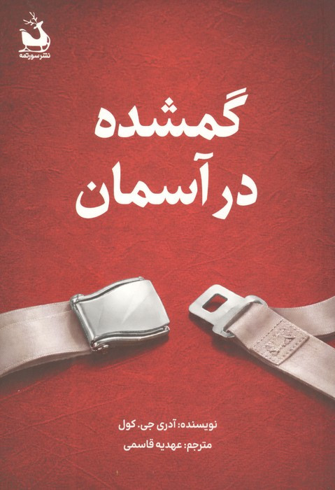 گمشده در آسمان