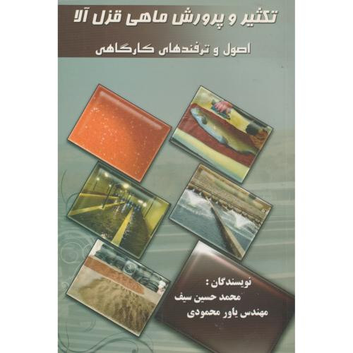 تکثیر و پرورش ماهی قزل آلا