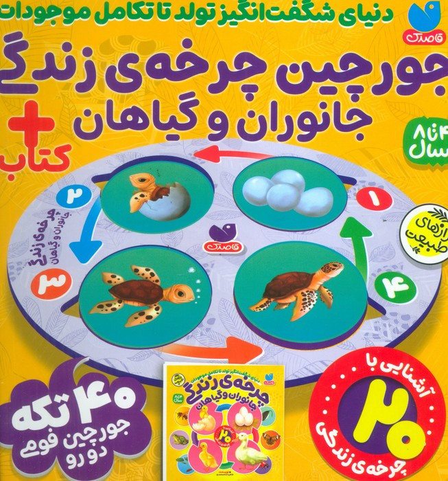پازل جعبه 40 تکه فومی جورچین چرخه ی زندگی جانوران و گیاهان
