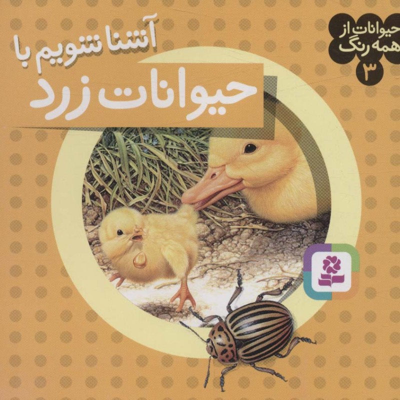 آشنا شویم با حیوانات زرد