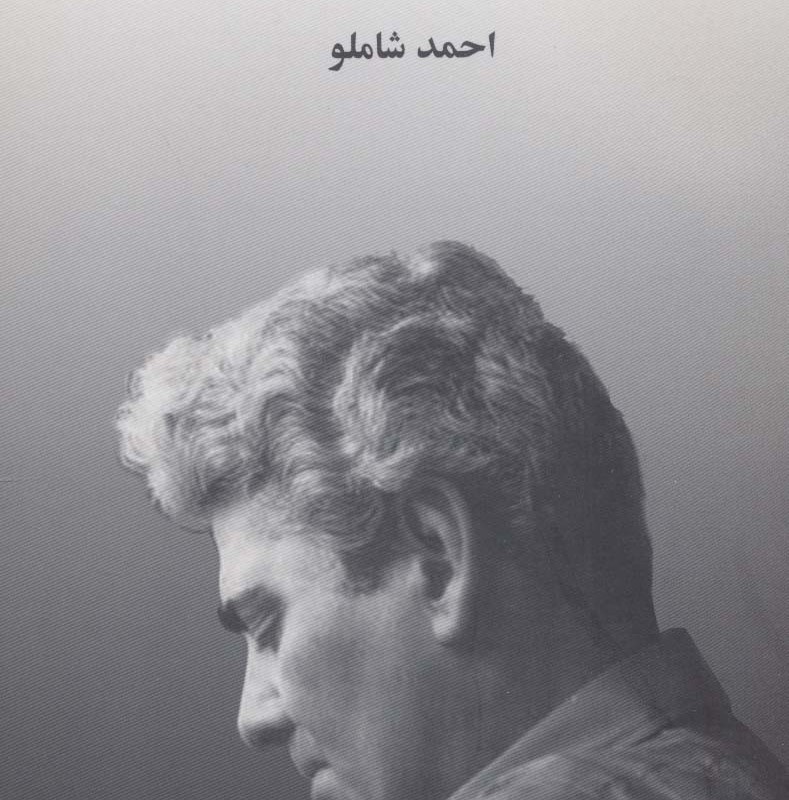 دشنه در دیس