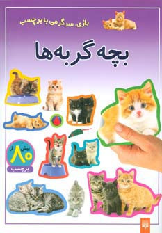 بچه گربه ها