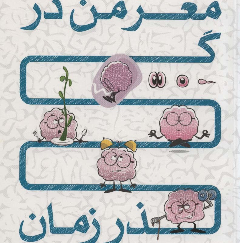 مغز من در گذر زمان