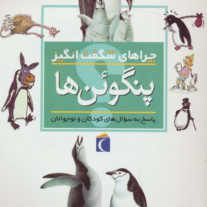 چراهای شگفت انگیز پنگوئن ها