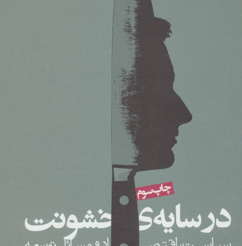 در سایه خشونت