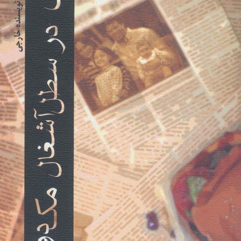 پسری در سطل آشغال مک دونالد
