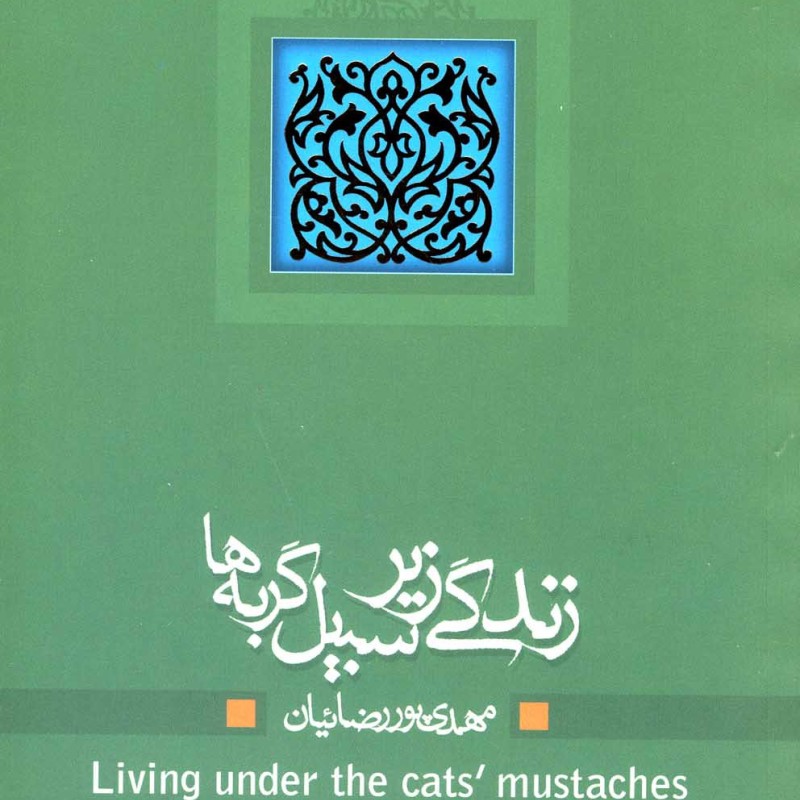 زندگی زیر سبیل گربه ها