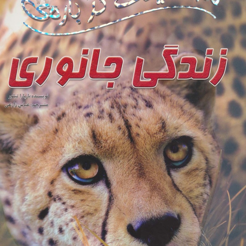 100 حقیقت31