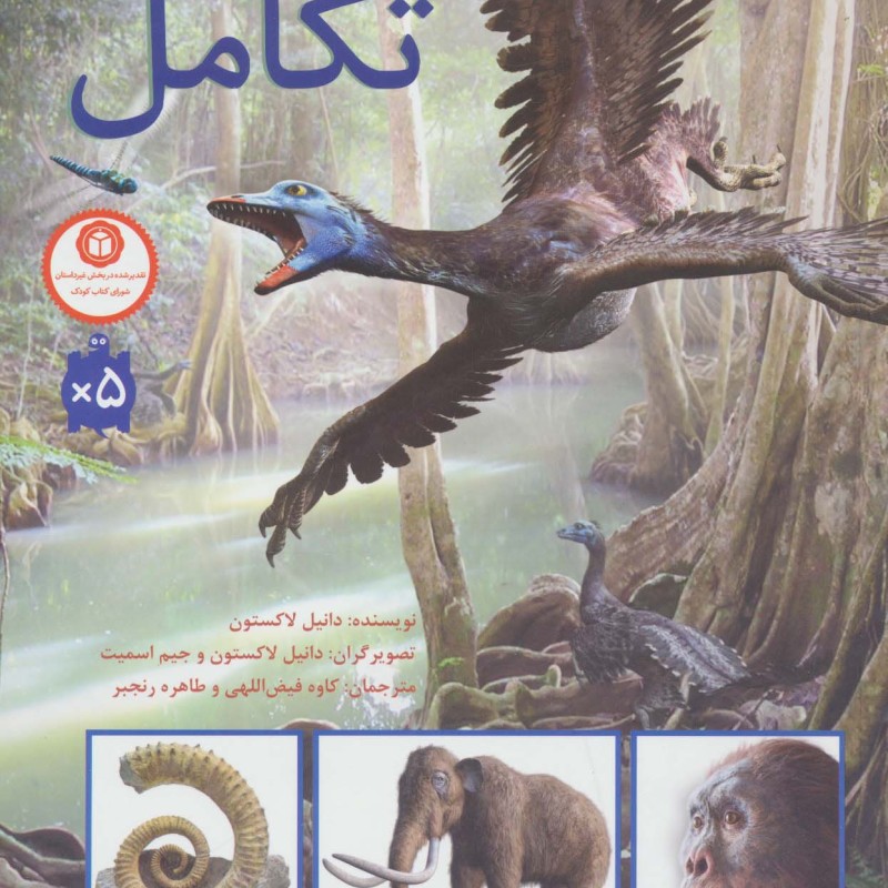 تکامل نشر فاطمی