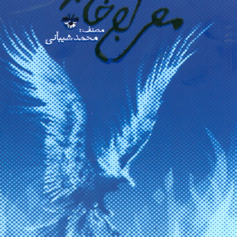معراج خاکستر