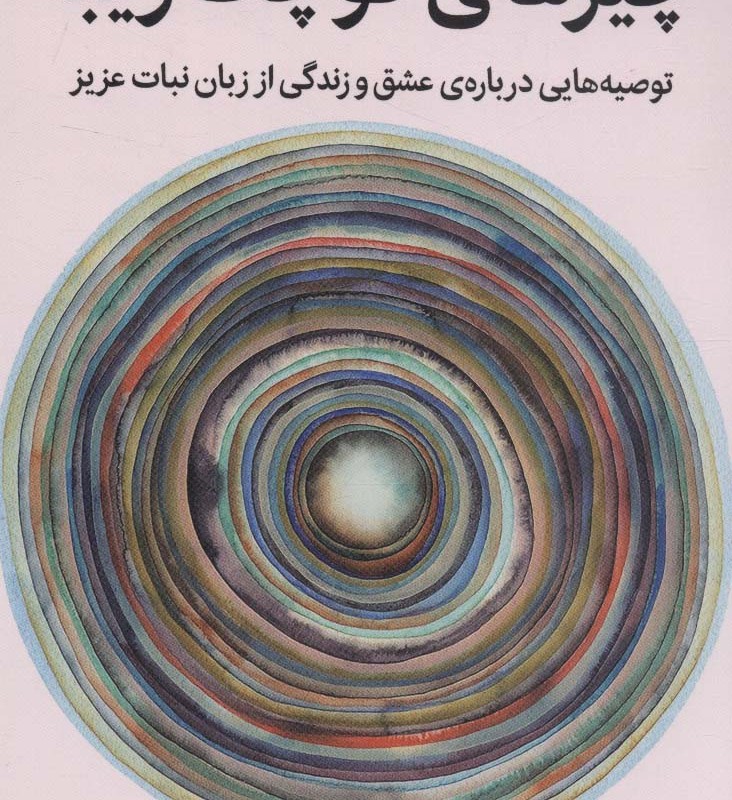 چیزهای کوچک زیبا