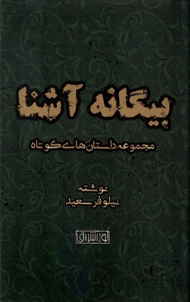 بیگانه آشنا نور اشراق