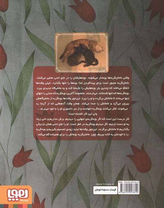 بچه گربه تنها
