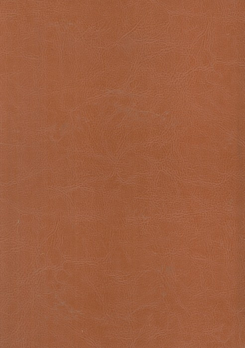 کتاب مثنوی معنوی ترمو