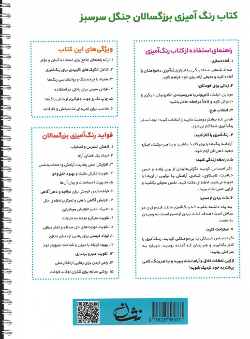 جنگل سرسبز