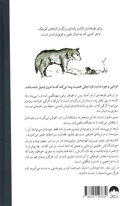 به دنبال ماه