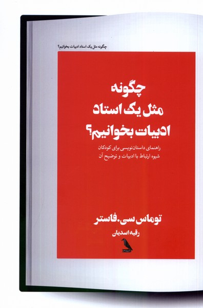 چگونه مثل یک استاد ادبیات بخوانیم چهل کلاغ