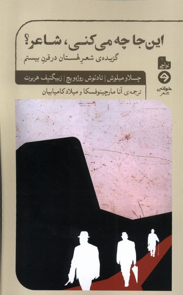این جا چه می کنی شاعر خوانه