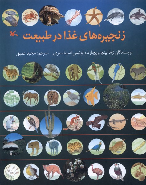 زنجیره های غذا در طبیعت کانون پرورش فکری