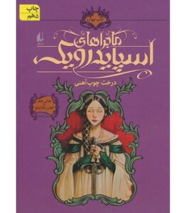 کتاب ماجراهای اسپایدرویک 4 اثر هالی بلک تونی دیترلیزی