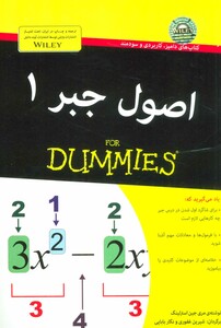کتاب های دامیز اصول جبر 1 اثر مری جین استرلینگ